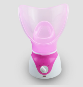 Ion Hot Spray Steamer - Pink