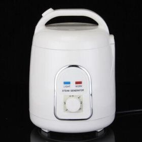 Home Sauna Spa Steamer - 110V